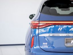 
										2024 Haval H6 1.5T Hybrid Ultra Luxury DHT full									